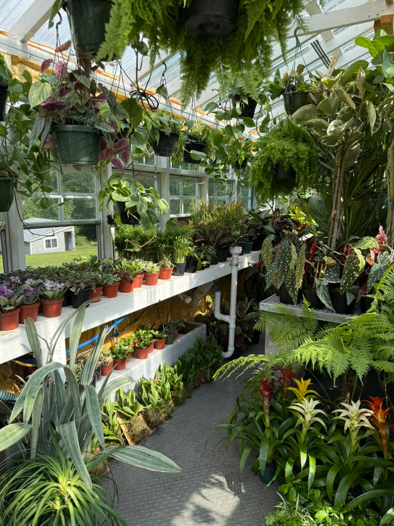 Indoor